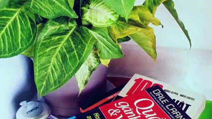 WELCOME THE COFFEE STATION