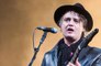 Pete Doherty hospitalised after getting spiked by a hedgehog