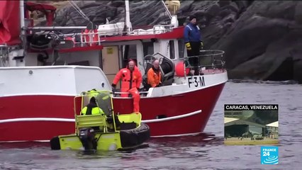 Norvège : une baleine blanche suspectée d'avoir été entraînée par l'armée russe