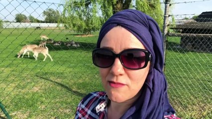 مي سناء في البادية، اجيوا معايا 