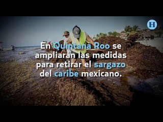 Daños por sargazo deben incluirse en el Fonden