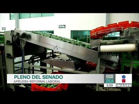 Con 120 votos a favor, senadores aprueban Reforma Laboral | Noticias con Francisco Zea