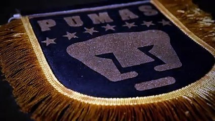 #NadaComoLaLigaMX: Pumas, pasión desde niña