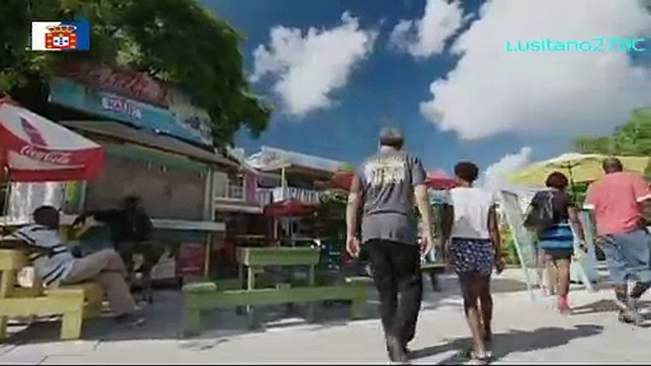 Um Mistério Oceânico, O Peixe Desaparecido