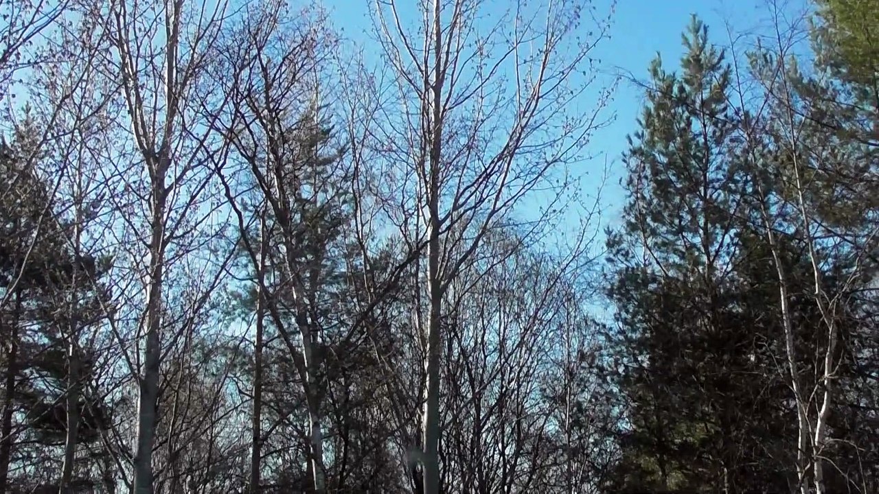 Apr 15 2019 DL1