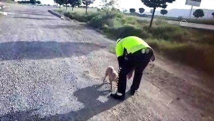 Kafası bidona sıkışan 'Garip'i, polis kurtardı