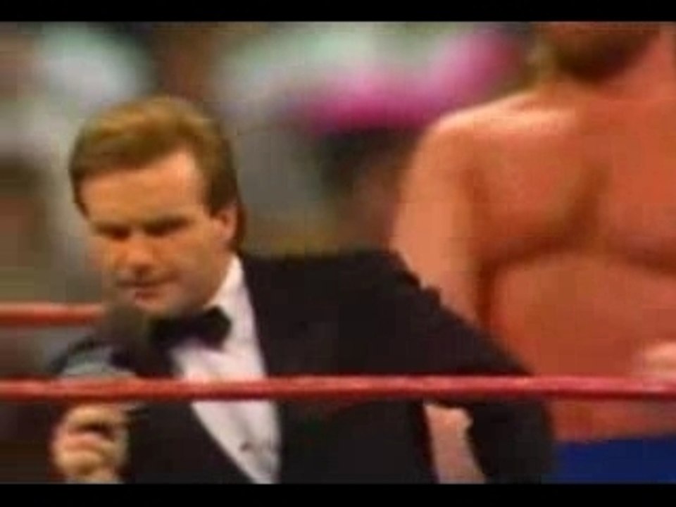 8 Man Tag Team