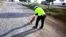 Kafası bidona sıkışan köpeği polis kurtardı - KAHRAMANMARAŞ
