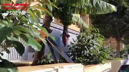 Patricia Hernández critica la falta de seguridad y el peligro corren los niños en el barrio de Ofra