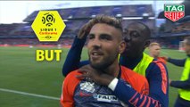 But Andy DELORT (80ème) / Montpellier Hérault SC - Paris Saint-Germain - (3-2) - (MHSC-PARIS) / 2018-19