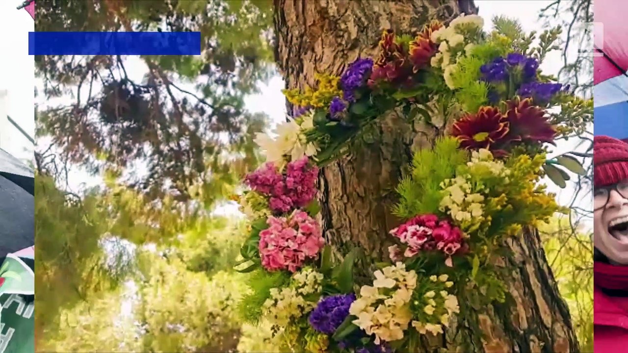 The Meaning Behind May Day video Dailymotion