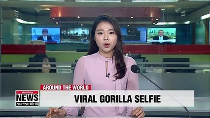 Gorillas like to "imitate people", says ranger who took viral selfie