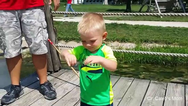 Best of Funny Animals & Babies Compilation 2018 - Cute Babies and Pets - YouTube