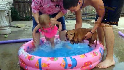 FUN CHALLENGE- Try NOT to laugh - Funny & cute dogs and kids - YouTube