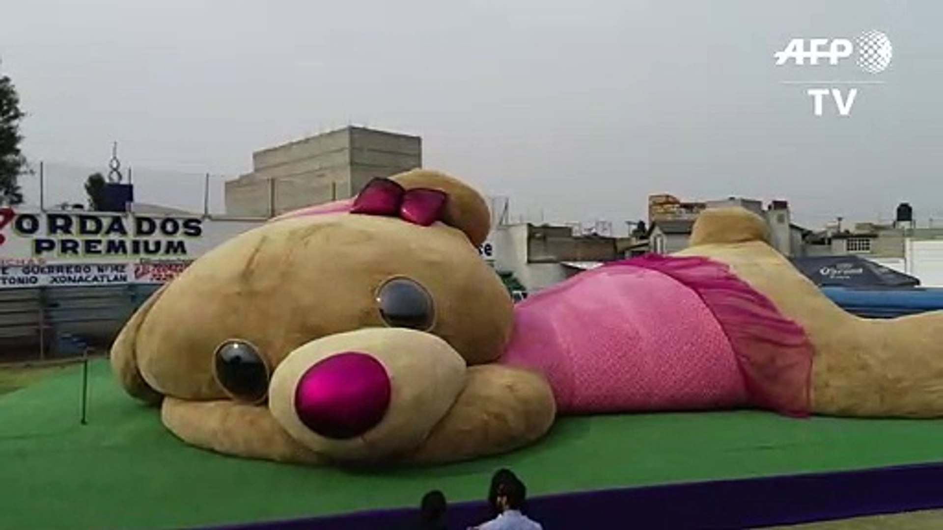 Le plus gros ours en peluche du monde est mexicain - Vidéo Dailymotion