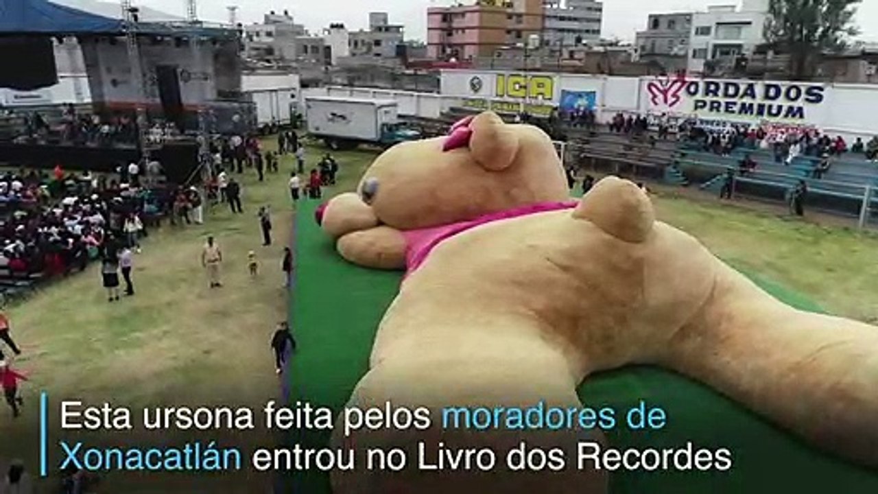 Fofura recordista