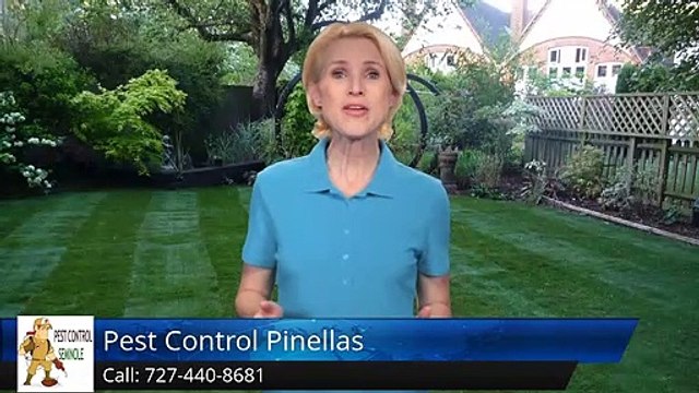 Seminole Pest Control Review, Pest Control Pinellas Reviews Seminole FL, Pest Control near me ...