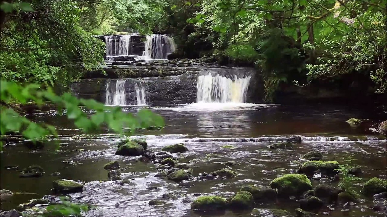 Celtic harp music with water  sound for relaxation arpa celta con sonido de agua para relajacion  musique de harpe celtique avec son de i eau  pour la detente