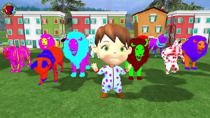 Lion Finger Lion Finger Where Are You Song For Kids ## || finger family rhymes for toddlers