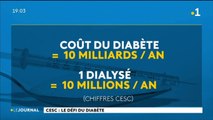 Le diabète en Polynésie française, le fléau inquiète le CESC