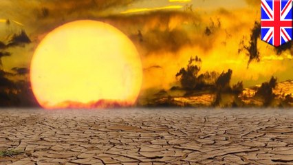 Soil damage could be contributing  to climate change