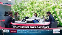 Dupin Quotidien : Tout savoir sur le muguet - 01/05