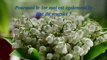 Pourquoi le 1er mai est également la fête du muguet ?