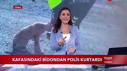 Sevimli Köpeği Bidondan Polis Kurtardı