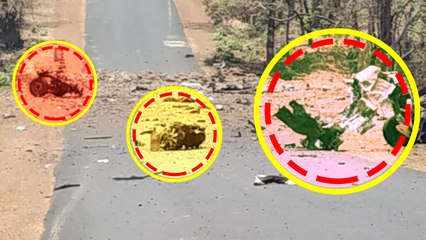 Maharashtra के Gadchiroli में  Maoist ने किया IED ब्लास्ट, 15 कमांडो शहीद | वनइंडिया हिंदी