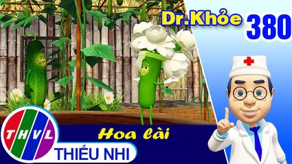 THVL | Dr. Khỏe – Tập 380: Hoa Lài - Phần 2