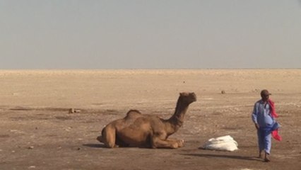 Con el carné de votante en mano, los nómadas indios vuelven a casa