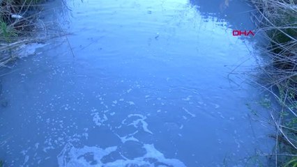 Tekirdağ Fabrika Atıklarıyla Mavi ve Gri Akan Kuru Deresi'ndeki Balıklar Ölüyor