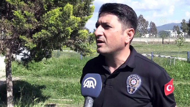 Hassas burun Çayra'nın emekliliğe niyeti yok - AYDIN