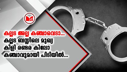 കല്ലട ബസ്സിലെ മുഖ്യ കിളി രണ്ടര കിലോ കഞ്ചാവുമായി പിടിയിൽ