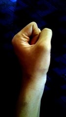 Hand Gestures if Animal