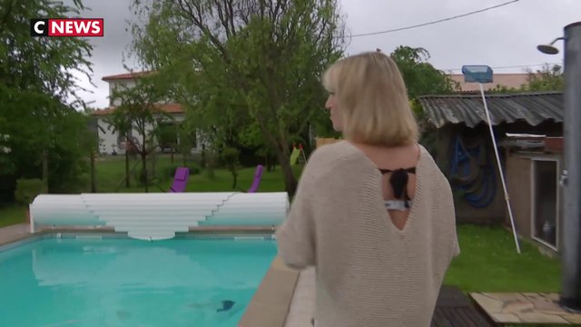 La piscine à la maison a toujours du succès