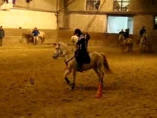 Pony- Games Open Elite