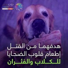 شاهد في دقيقة.. مكسيكيان يقتلان 20 سيدة لإطعام قلوب الضحايا للكلاب والفئران