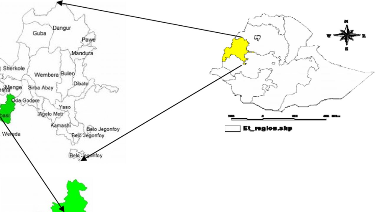 Ethiopian Reporter TV Amharic News May 01/2019