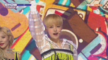 Show Champion EP.314 핫플레이스 - TMI(HOT PLACE - TMI)