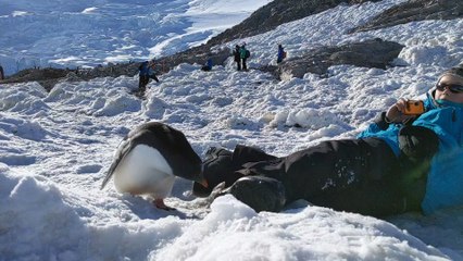 Antarctic Selfie with a Baby Gentoo Penguin