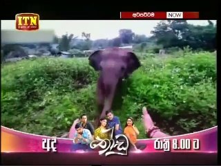 Atapattama - 01st May 2019