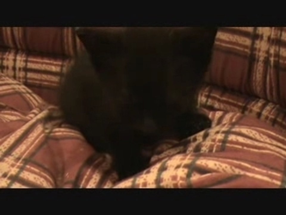 Miou9
