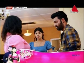 Neela Pabalu (253) - 01-05-2019