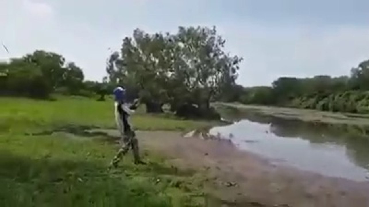 Horrible...!! I thought Big Fish was a crocodile