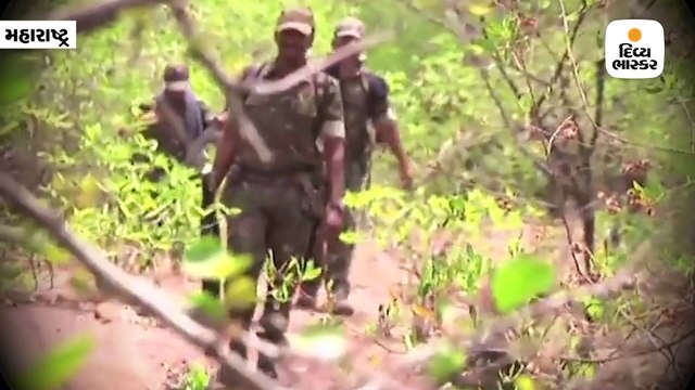 જાણો C-60ના કમાન્ડોઝ વિશે, મોતના ઓછાયા હેઠળ નક્સલીઓને આપે છે પડકાર