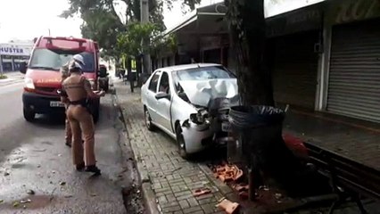 Carro bate em árvore e deixa condutor ferido