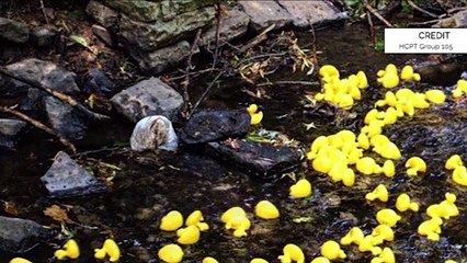 GOODLINES: 2nd May 2019