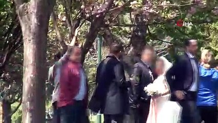 Bursa’da Yeni Açan Ağaçların Çiçeklerini Fotoğraf Çekilmek İçin Dökenler Pes Dedirtti