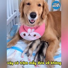 PHẦN 3 - GIA ĐÌNH GÂU ĐẦN ĐÁNG YÊU - Mẹ Ưu Lị thương ngáo con bỏ ăn khóc sưng cả mắt